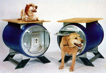 kondowithdogs.jpg
